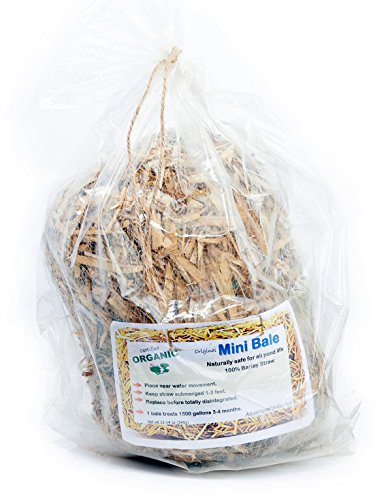 Barley Straw Mini Bale for Ponds