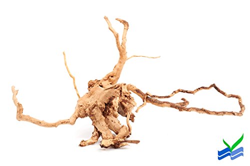 spider wood plant Aquarium Spider Wood (16-24 Inches)